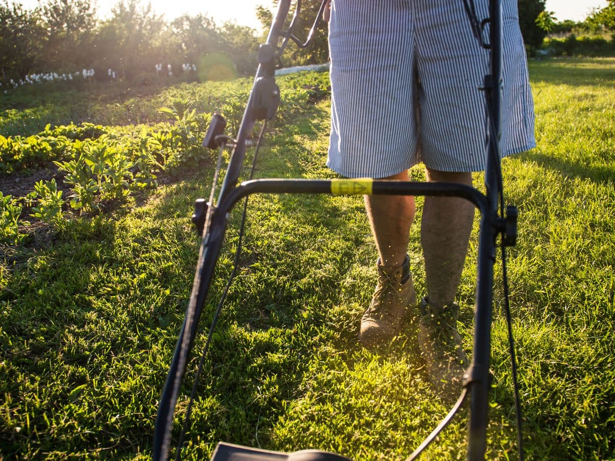 Landscaper mowing a vibrant green lawn on a sunny day