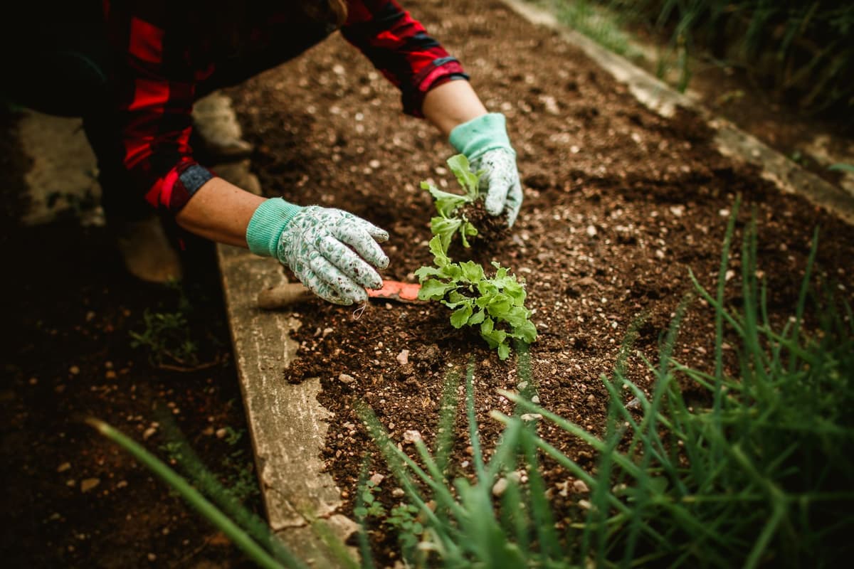 Professional landscaper performing landscaping work on a real job