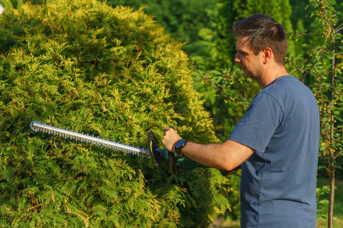 Professional landscaper performing landscaping work on a real job