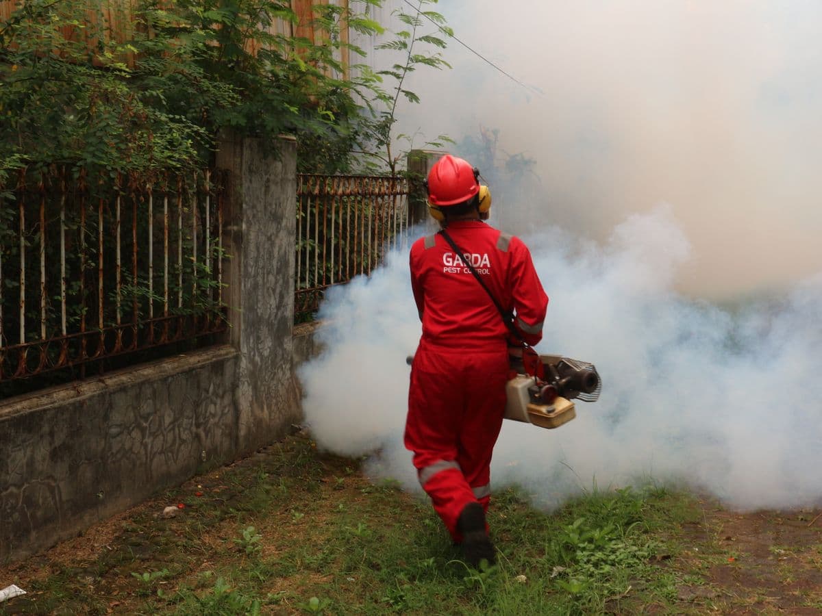 Pest exterminator fogging a residential yard