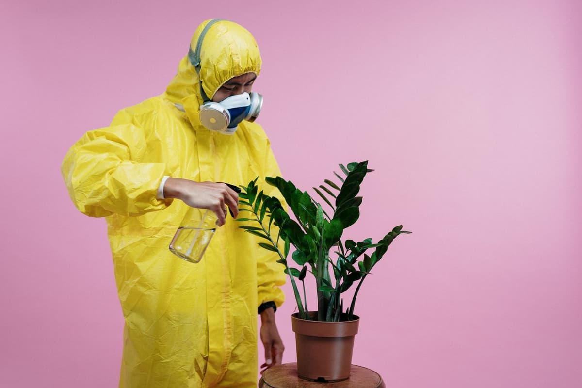 Professional pest control tech performing pest control service on a real job