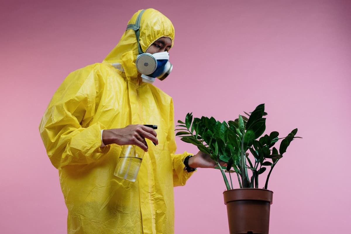 Professional pest control tech performing pest control service on a real job