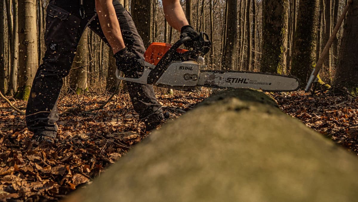 Professional arborist performing tree service work on a real job